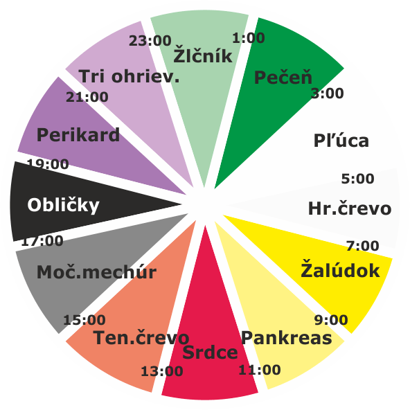 Orgánové hodiny